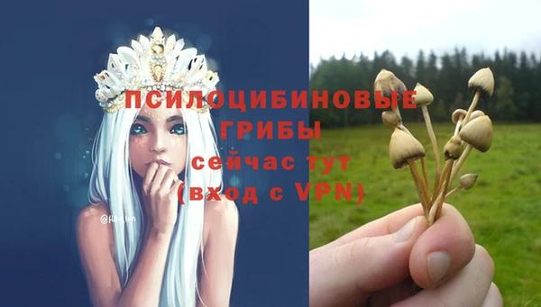 СК Богородицк