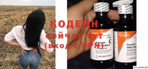 гашиш Богданович